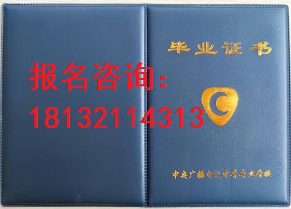 電大中?？荚囋趺崔k