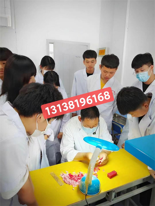 石家莊白求恩醫(yī)學院升學對口高考和單招有什么區(qū)別？