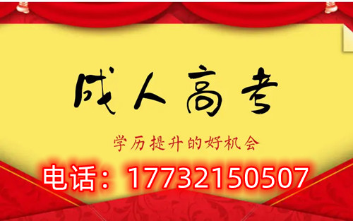 干貨！備考必讀，成考不踩雷！