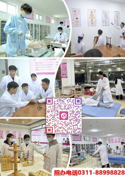 石家莊天使護(hù)士學(xué)校2026年秋季招生專(zhuān)業(yè)有哪些