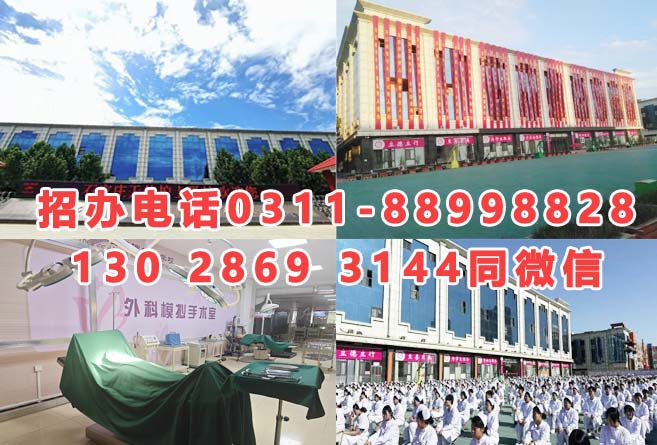 石家莊天使護士學(xué)校2026年招生分數(shù)線是多少？